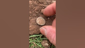 Roman silver #romancoins #metaldetecting #denarii #coin #history #romanemperors #romanempire