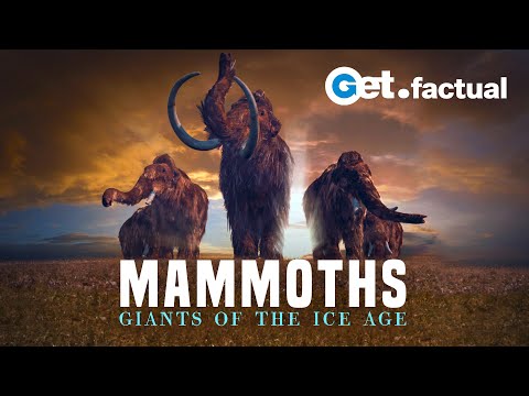 Mammoths - Giants Of The Ice Age