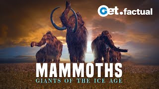 Mammoths  Giants of the Ice Age