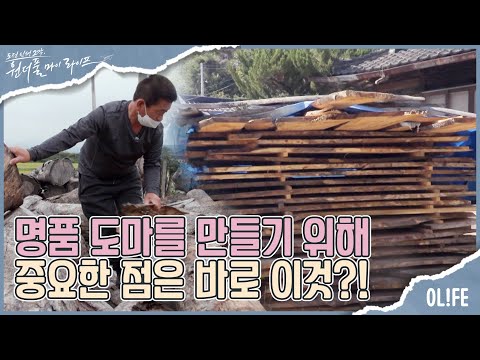 <strong>느티나무</strong> 고사목이 명품 도마가 되기까지의 기간은? I 원더풀 마이 라이프 I EP38 I 매주 수요일 저녁 8시 30분