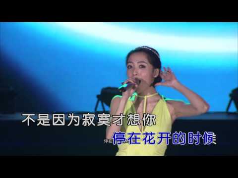 Watch 沈丹丹-不是因為寂寞才想你 (1080P) KTV on YouTube