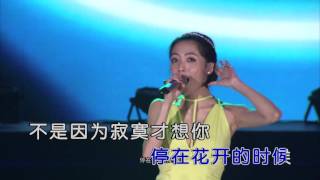 沈丹丹-不是因為寂寞才想你 (1080P) KTV