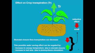 Climate change AquaCrop - Training module Nr. 6.4, April 2016