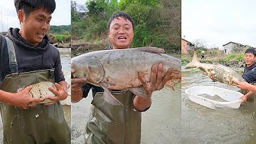 Bao trọn ao cá mà ông lão ngày nào cũng cho ăn cỏ, không ngờ cá lại béo tốt đến vậy