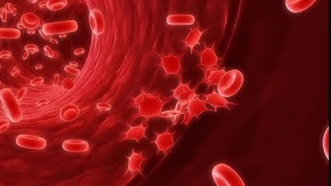 Cập nhật điều trị kháng kết tập tiểu cầu