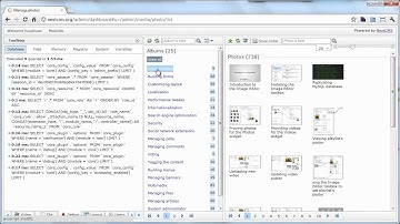 NextCMS: Showing useful data for debugging with the Debug plugin