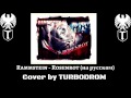 Rosenrot (на русском TURBODROM cover version)