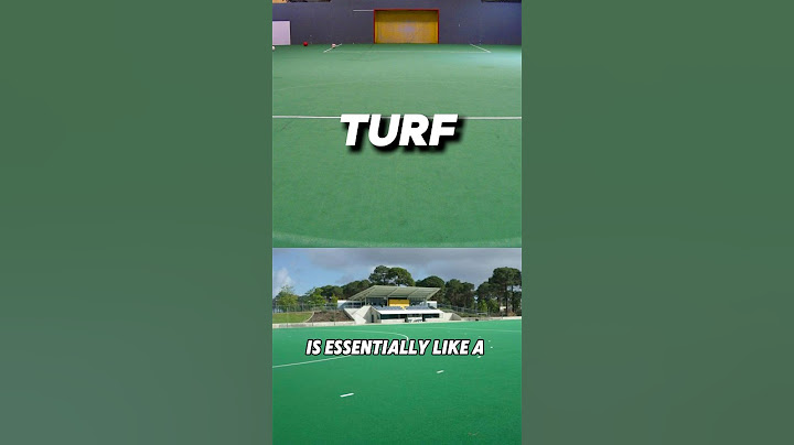 Turf vs Artificial Grass