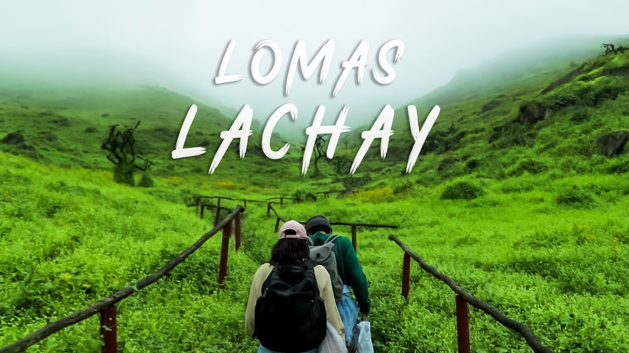 lomas longstrider Lomas de Lachay - Explorando y conociendo. 