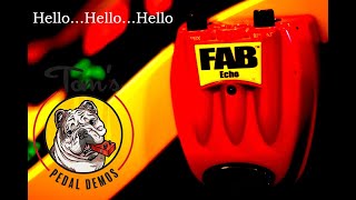 Danelectro Fab Echo, Bass Edition.