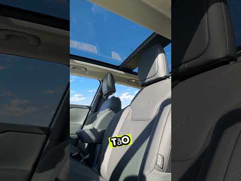 Vídeo do Renegade Sahara 1.3 2025