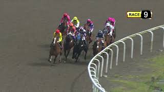 Vidéo de la course PMU PRIX COURSE 09