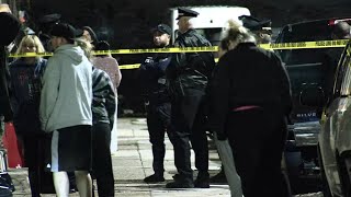 Pit bull shot after charging at officers; 2 people injured in dog fight: police