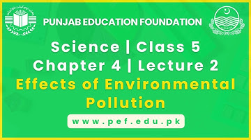 Science | Class 5 | Chapter 4 | Lecture 2 | Effects of Environmental Pollution