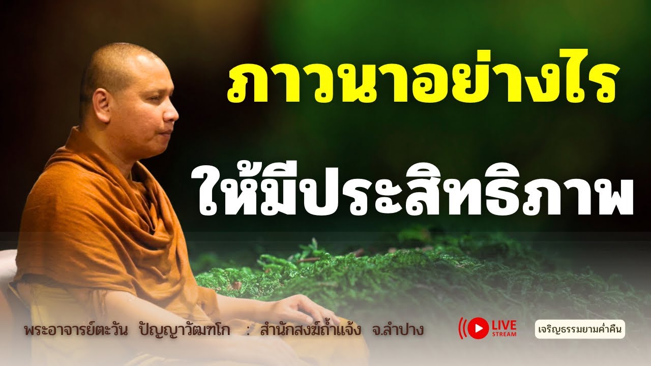 ภาวนาอย่างไรให้มีประสิทธิภาพ | พระอาจารย์ตะวัน 14 ส.ค. 2568 [19:00 น.] ณ สำนักสงฆ์ถ้ำแจ้ง จ.ลำปาง