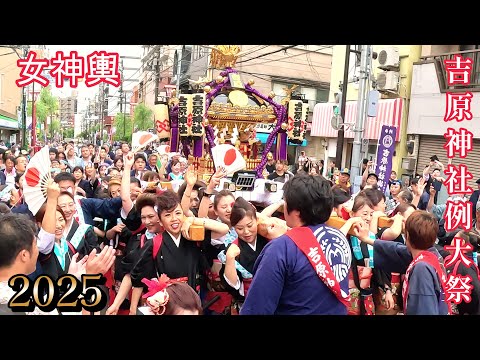 2025 吉原神社例大祭  女神輿  女性が担ぐ