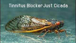 Download lagu Tinnitus Therapy Just Cicada - 10 hours