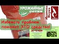 Курите? Ждите заражение вирусами! Опасно ли применять табачную пыль?