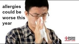 Allergies Could be Worse Than Usual This Spring in Stamford