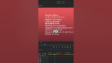 How To Fix Media Offline Error in Premiere Pro