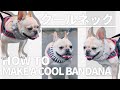 クールネックを作ってみた！【フレンチブルドッグのクールネック】【HOW TO MAKE A COOL BANDANA】