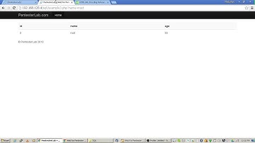 PentesterLab   Web For Pentester  SQLi EX3
