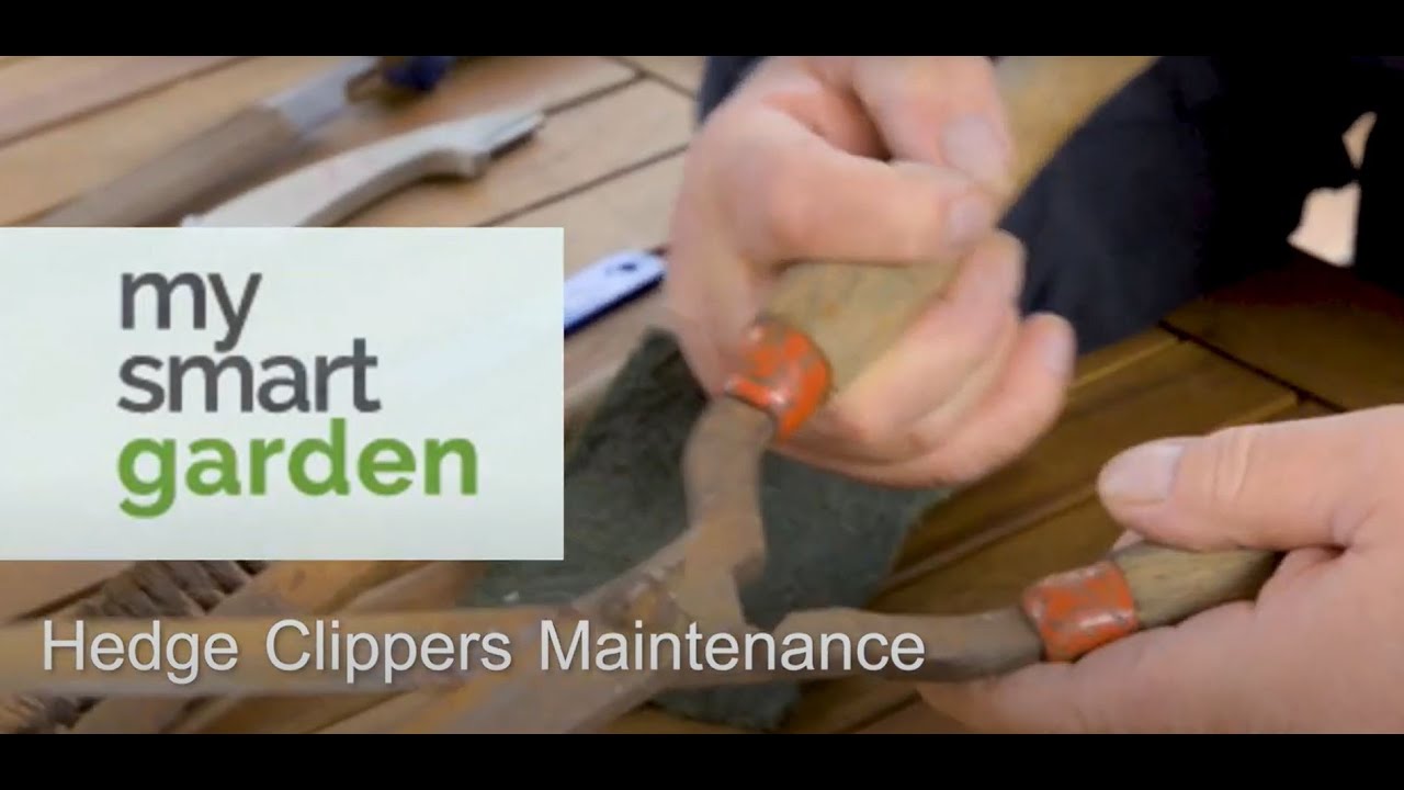 Hedge Clippers Maintenance YouTube