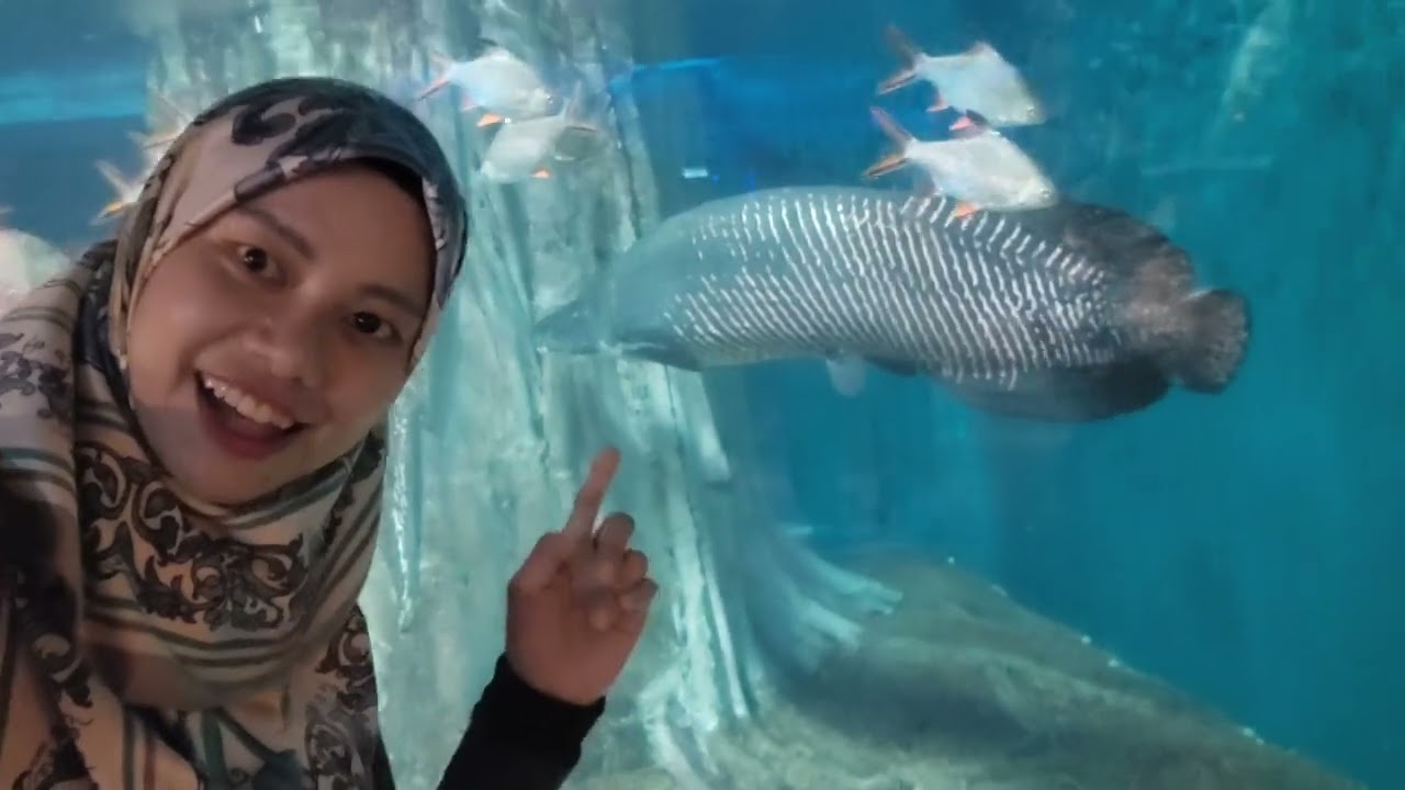 Jom ikut kami jalan- jalan di Aquaria KLCC!