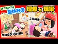あつ森アニメ みんなはどっち 夏休みの理想と現実 あつまれどうぶつの森