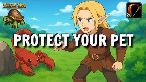 Protect your pet in raids - Guide Hunter Turtle WoW
