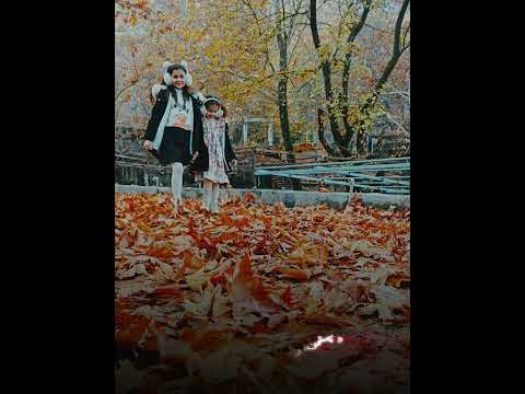 سارینا و ئێلسا