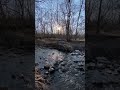 Sunlight Reflecting on a Stream