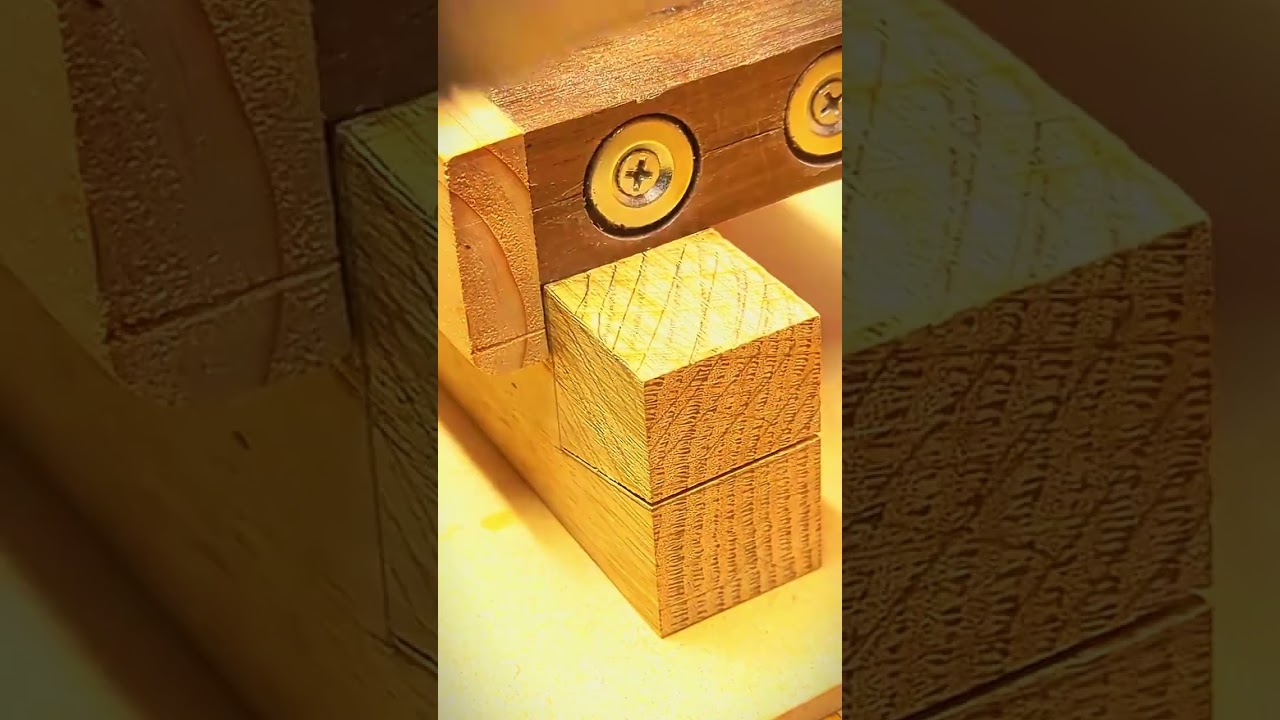 what's a historical fact that would #ask #reddit #shortvideos #woodworking
