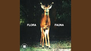 Download Lagu Fauna MP3