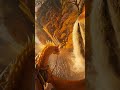 Epic Golden Dragon Ride Over Magical Waterfalls! 🐉🌊 #Shorts