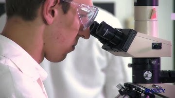 BMP21 LAB Portable Label Printer