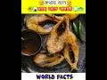 মাছে ভাতে বাঙালি || #facts #ytshorts #factinbengali
