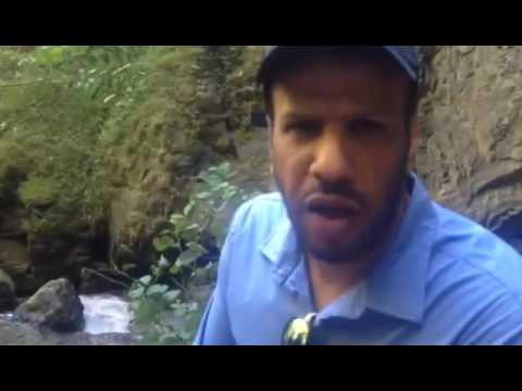 رأى السيد ياسر المطرفي من المملكة العربية السعودية