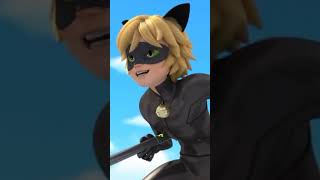 Cat noir Versions  1 season to 5 season