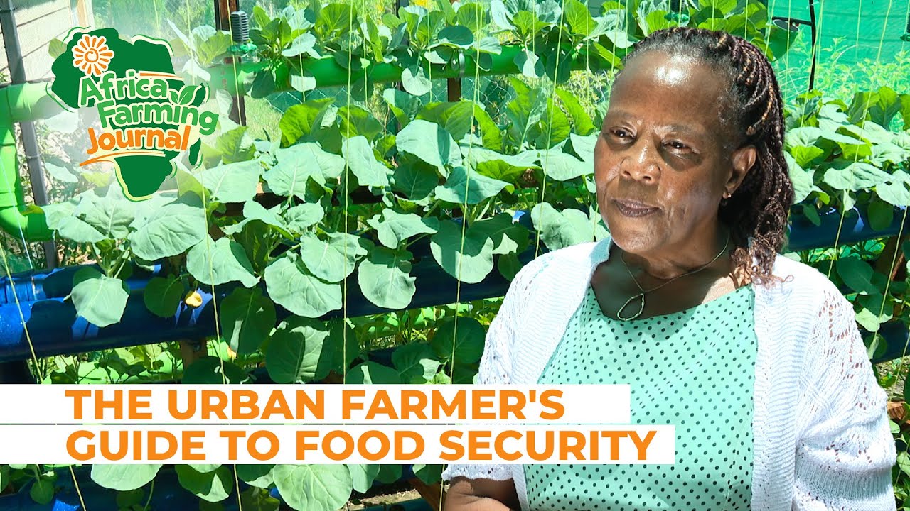 How to GROW FOOD in the City [Urban Farming 101] - YouTube