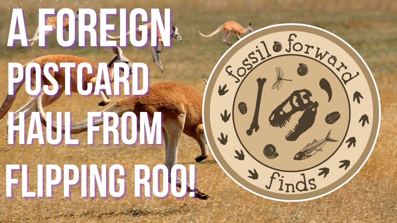 14lb Haul of Postcard Goodness from Flipping Roo! And Snow .. Always Snow. #ForeignPostcards