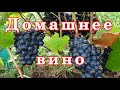 Лучшее ДОМАШНЕЕ ВИНО! Мои Винные сорта винограда!