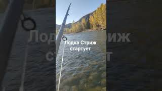 рыбалка на реке "Курчум" 14.09.2025 Восточный Казакстан.
