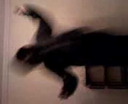 Watch crank dat soulja boy kamara style on YouTube Watch crank dat soulja boy kamara style on YouTube