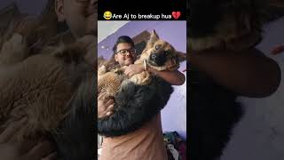 Are Aj To Breakup Hua.. Janwar Bolte Hai