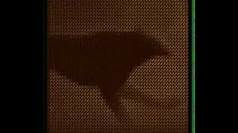 Text only dot matrix LCD animation