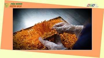 HTV TDHD CTY AT TIEU DUNG XANH SONG KHOE MOI NGAY