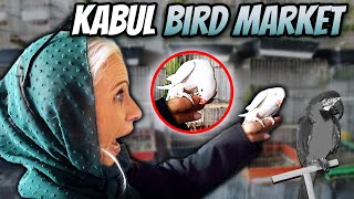 KABUL'S Bird Market on a Friday (BUSY)!