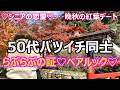 【シニアの恋愛】50代バツイチ同士カップルが恥じらいを捨てペアルックで紅葉デート!紅葉よりもペアルックで一緒に歩くことが目的かもw
