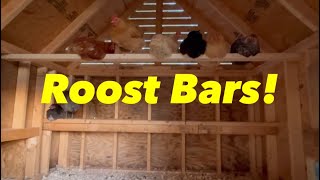 All About Roost Bars! *For Chickens*